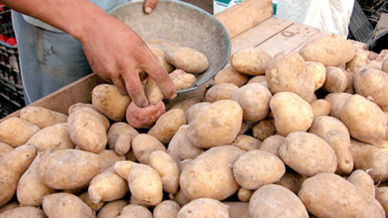 أسعار البطاطا تلتهب.. المخزون في خطر والزوالي يدفع الثمن