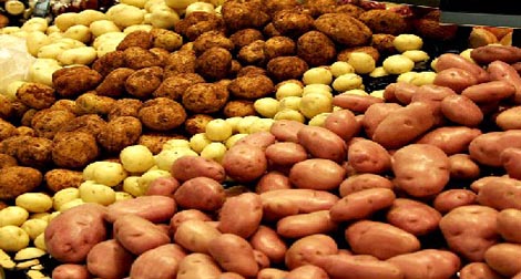 Touami révèle à Echorouk : « La pomme de terre reste toujours au dessus de 60 DA »