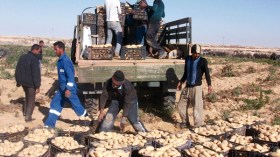 “سيربالاك” ترفض تسديد 240 مليار من أموال الفلاحين!