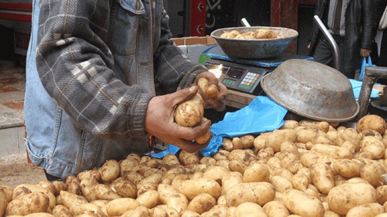 البطاطا بـ 100 دج بسبب تهاطل الأمطار