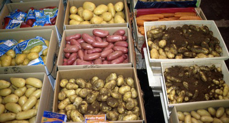 Salon de la pomme de terre à Mostaganem : près de 150 exposants attendus