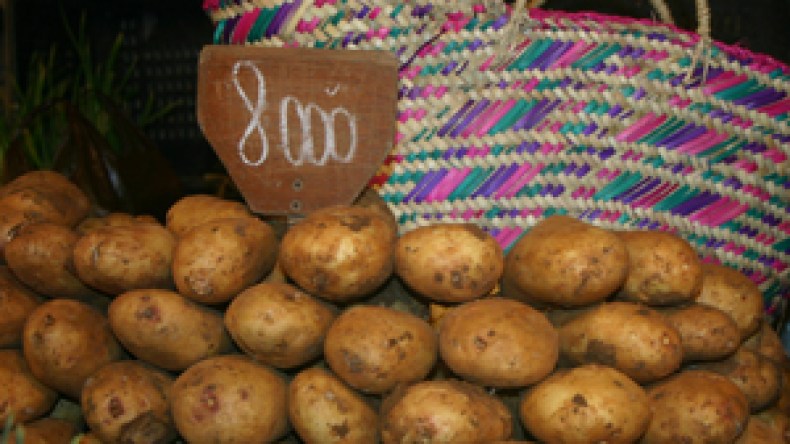 أسعار البطاطا ستستقر ما بين 30 و40 دينارا مع نهاية الشهر الجاري