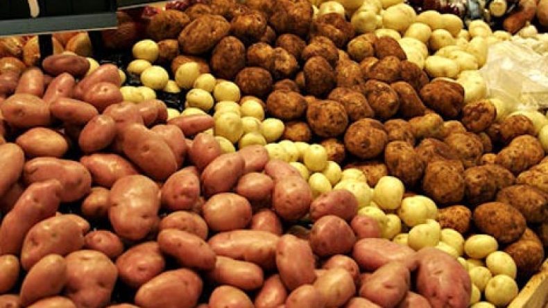 ندرة البطاطا والتهاب أسعارها سيبقى متواصلا