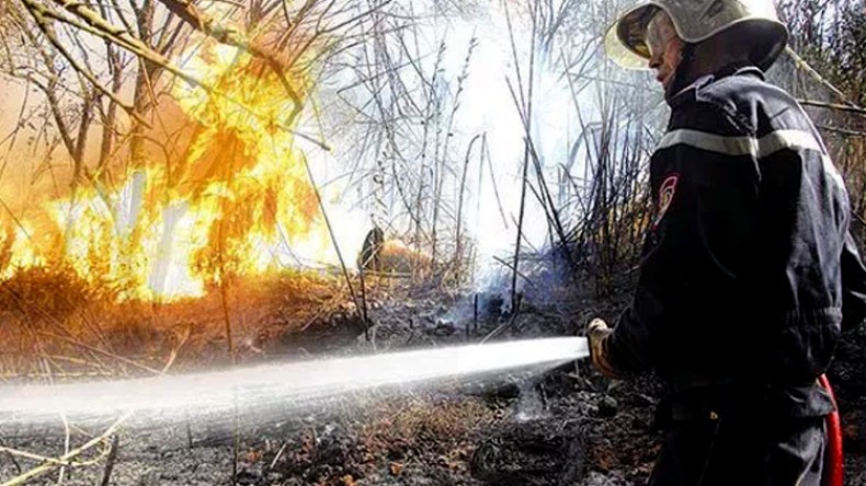 حرائق تلتهم 80 هكتارا من القمح وسيارة وتكبد الفلاحين خسائر معتبرة بميلة