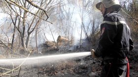 النيران التهمت أزيد من 42 ألف هكتارا خلال ثلاثة أشهر