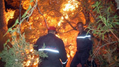 Feux de forêt : plusieurs villages encerclés, d’innombrables oliviers et ruches détruits