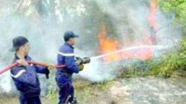 Feux de forêt : la Protection civile se dote de 11 nouvelles unités mobiles d’intervention