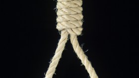 الإعدام لقاتل الطفل “دالي فريد” بعد أن اختطفه