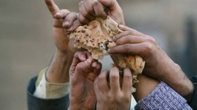 البوسنة والهرسك أكثر الدول إستياء من حكومتهم