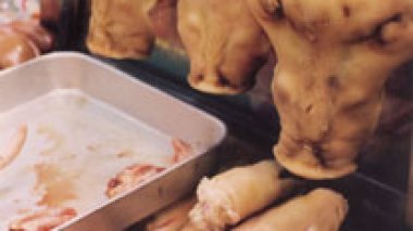 Djelfa : la viande de sanglier le jour de l’Aïd