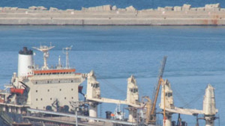 “موانئ دبي” تفصل 63 عاملا من ميناء الجزائر العالمي