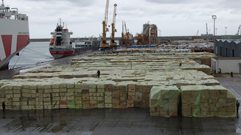 المواد الغذائية تحت المجهر قبل توجيهها للاستهلاك