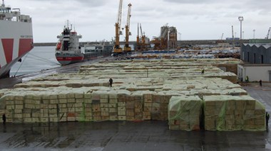 Food products under control before forwarding them for consumption