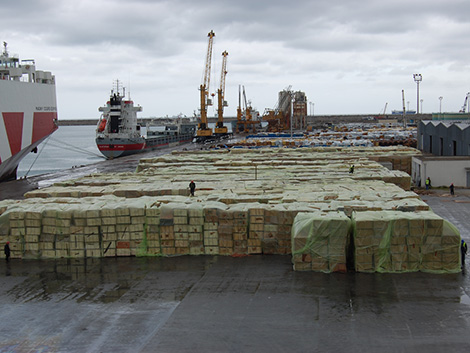 Food products under control before forwarding them for consumption