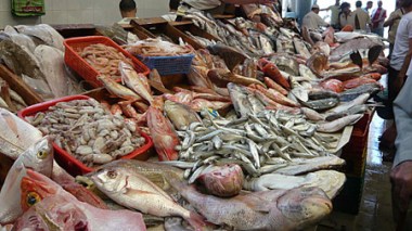 Marché du poisson à Batna : plus pour le plaisir des yeux que pour celui des papilles