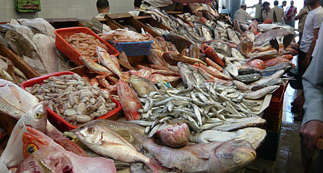 Marché du poisson à Batna : plus pour le plaisir des yeux que pour celui des papilles