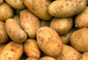 un rapport américain publie une détérioration du pouvoir d’achat des algériens