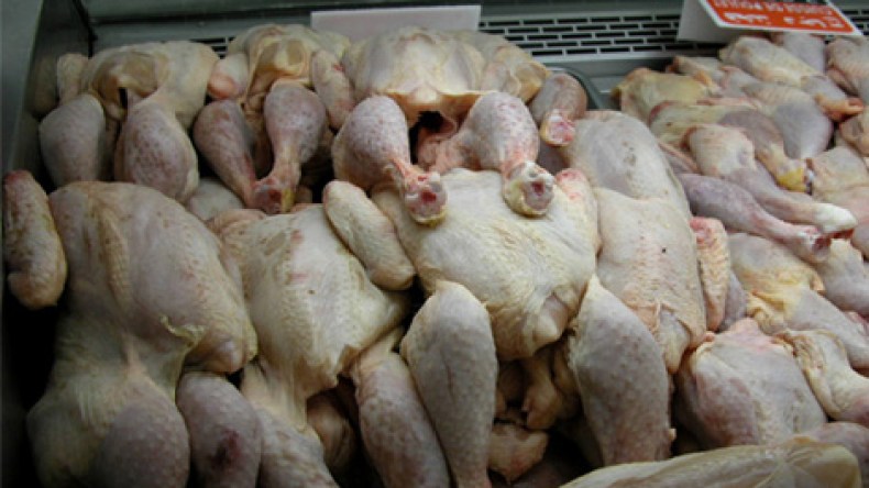 استهلاك الجزائريين للدجاج يتراجع بسبب قانون “الصرع”