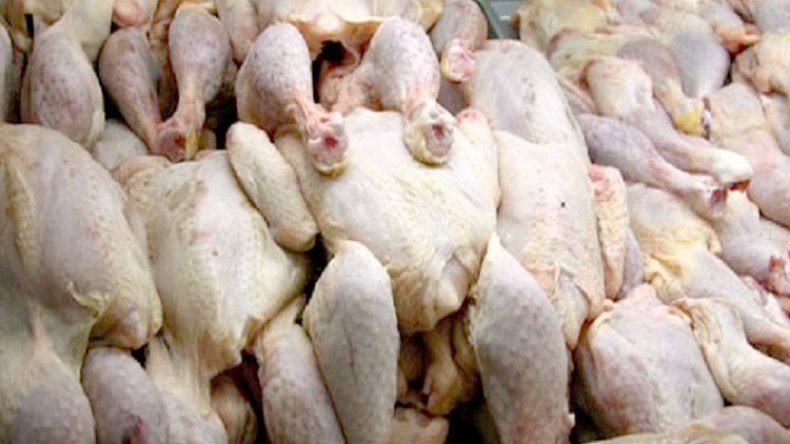 إحباط محاولة تسويق 11 قنطارا من الدجاج الفاسد في وهران