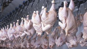 جزائريون يواجهون ارتفاع الأسعار بالسخرية والمقاطعة