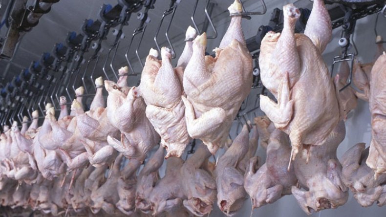 جزائريون يواجهون ارتفاع الأسعار بالسخرية والمقاطعة