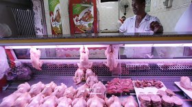 ارتفاع تدريجي لأسعار الدجاج بمعدل 20 دج لليوم ..!