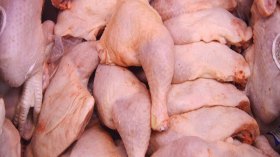 لا انخفاض لأسعار الدواجن قبل أكتوبر