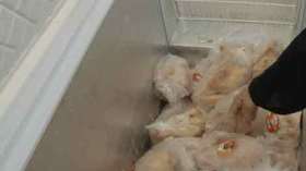 الجمبري واللحوم والكيوي في مزابل الجزائريين