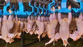 إنشاء ديوانين للحوم والخضر قريبا