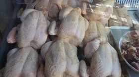 انهيار في أسعار اللحوم البيضاء والمربون يستغيثون