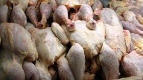 الدرك يحجز 20 قنطارا من الدجاج الفاسد في المسيلة