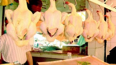 Les prix du poulet se stabiliseront en février, ceux des viandes rouges après l’hiver