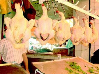 Les prix du poulet se stabiliseront en février, ceux des viandes rouges après l’hiver