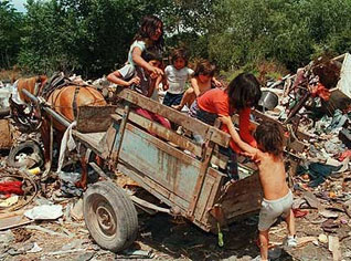 Plus de 15 mille enfants sans domicile  à Alger