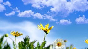 جزائريون يعيشون الربيع في فصل الشتاء