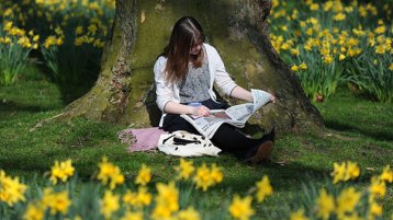 الرّبيع.. وخلوات الحدائق والمنتزهات