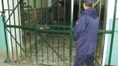 20 ans de réclusion criminelle pour des trafiquants d’organes