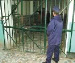 20 years prison against human organs traffickers in Algeria