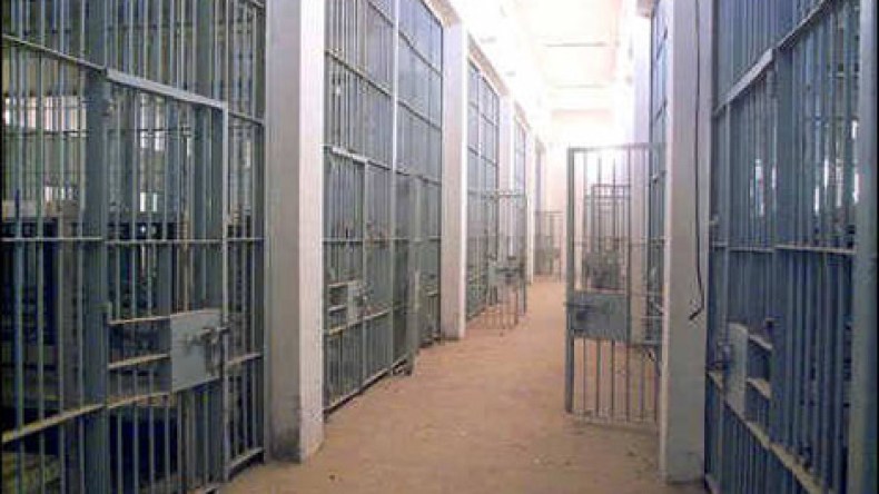 “أنقذوا أبناءنا قبل أن يذبحوهم عشية العيد مثل ما نحروا صدام”