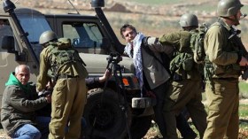 إعادة اعتقال 133 فلسطيني أطلقوا في صفقة شاليط