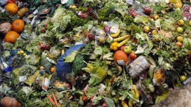 Presque la moitié de la nourriture mondiale serait gaspillée