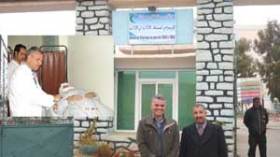 بروفيسور فرنسي يتبرع بعمليات جراحية لمرضى الأعصاب بالبيض