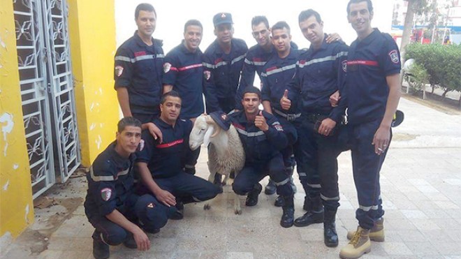 إدارات ومؤسسات تستحضر أجواء العيد للتخفيف على عمّالها