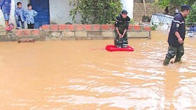 قتلى وجرحى.. والأمطار تجرف حملة الأميار!