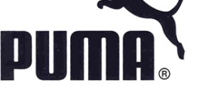 الفاف  تنذر  وتهدد  بالعودة  إلى  ” لوكوك “