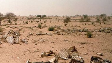 Lutte contre la désertification en Afrique: ouverture jeudi à Alger d'une réunion de coordination