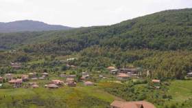 غابات ياكوران ملاذ عشاق الطبيعة بتيزي وزو