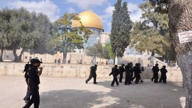 الطريق الثالث لتحرير فلسطين