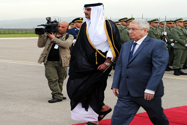 Doha Denies Algeria's Mediation In Qatar-Gulf Crisis
