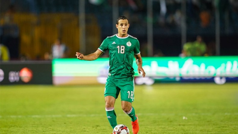 زفان: الإسلام منحني حصانة في وسط كروي مُتعفّن